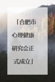 合肥市心理健康研究会正式成立